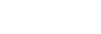 Logotipo oficial de Perlio Detail