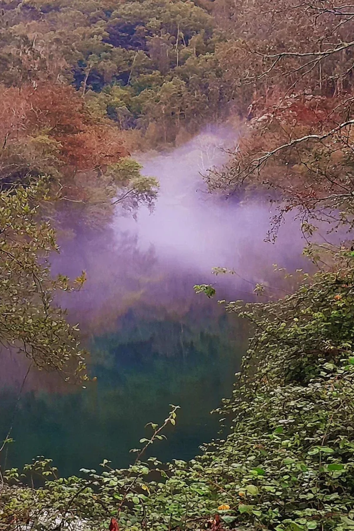 Río Eume entre o bosque atlántico ao comezo do percorrido