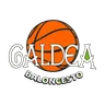 Escudo de DELEITE BALONCESTO GALDEA TREBOADA