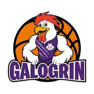 Escudo de GALOGRIN