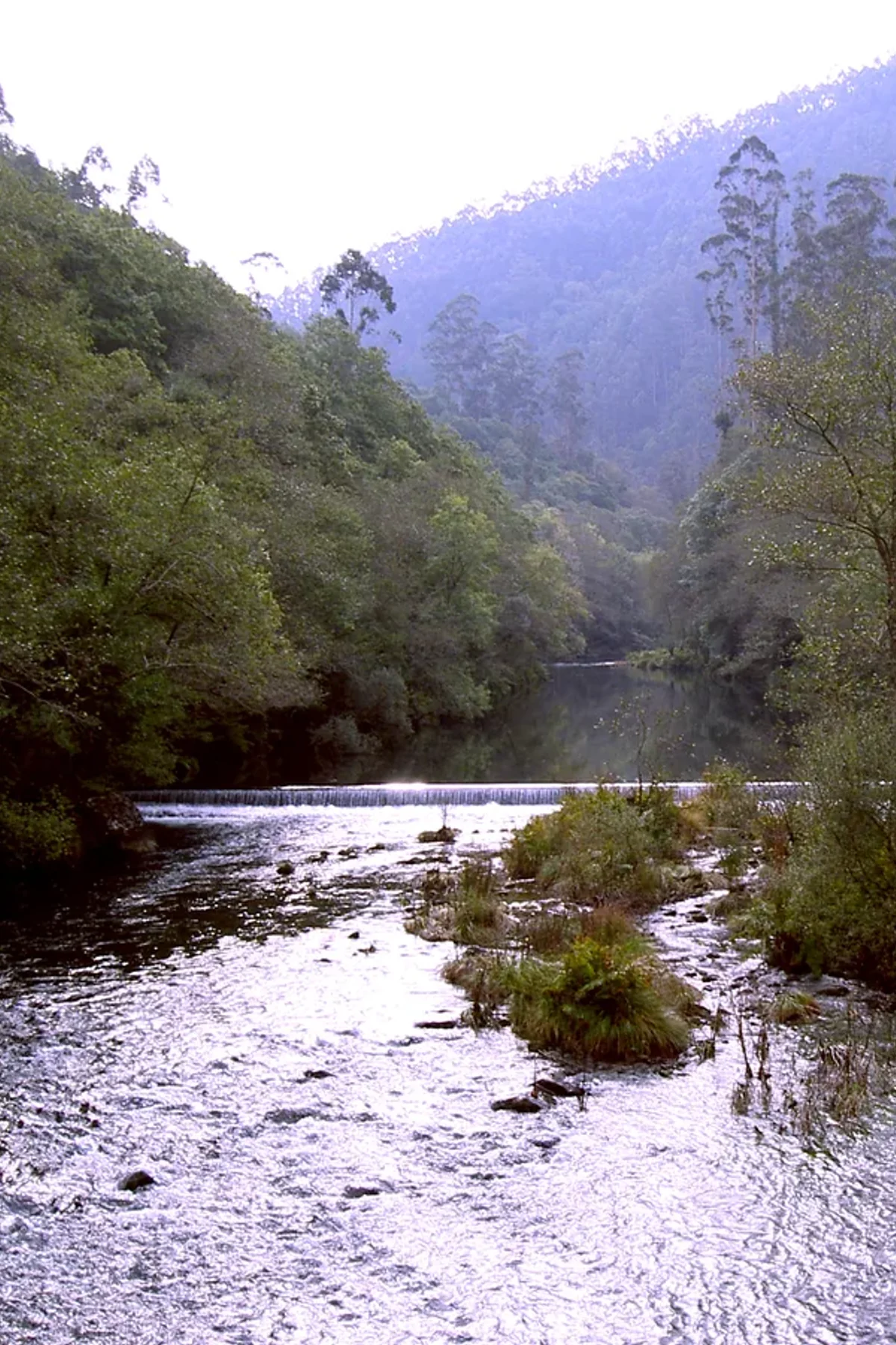 Río Eume e bosque no interior das Fragas