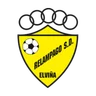 Escudo de Relámpago S.D.